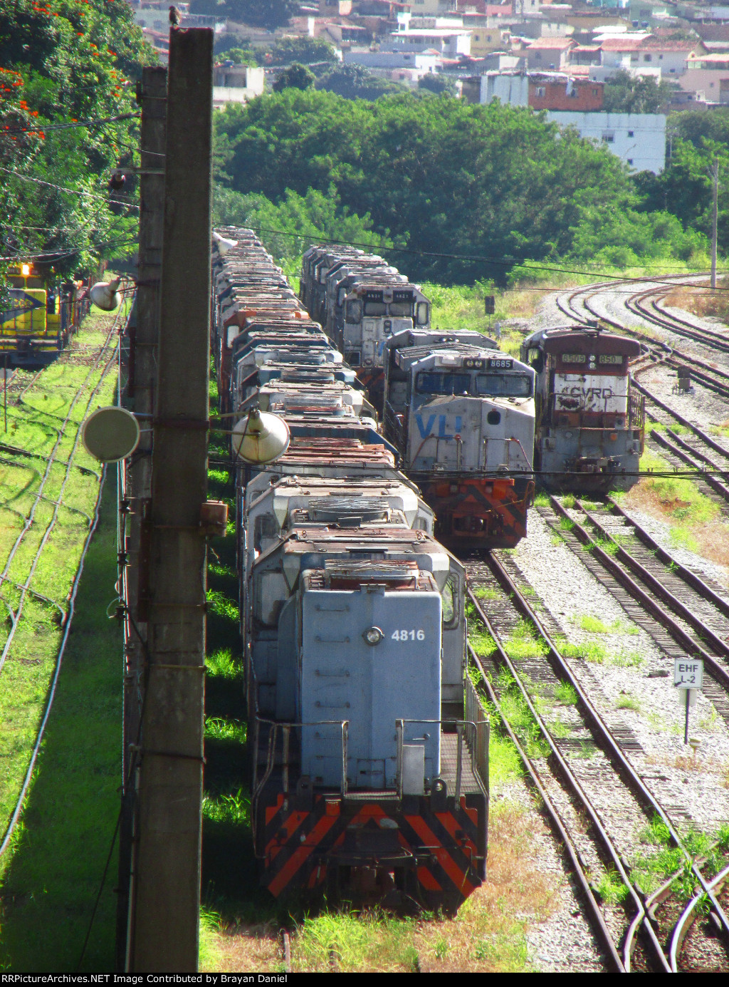 VLI 4816